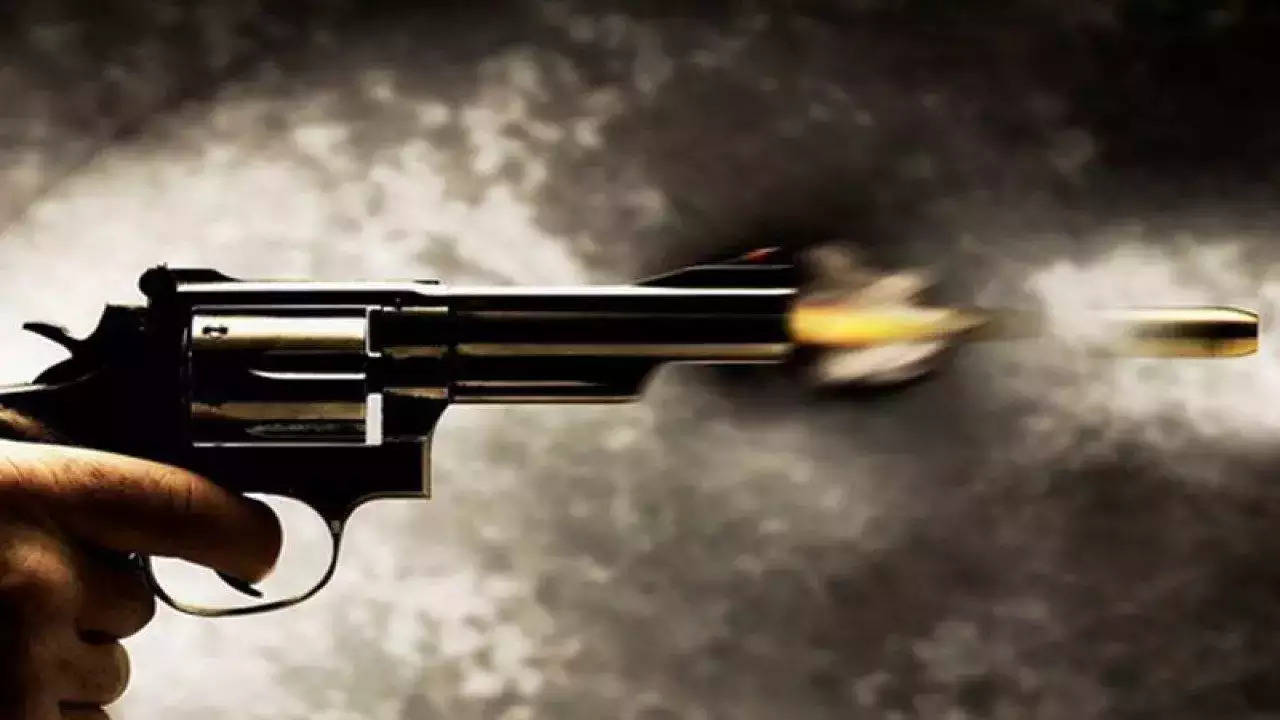 Man Kills Five Of His Relatives On The Day Of Wedding, Later Shoots Self (Rep image)