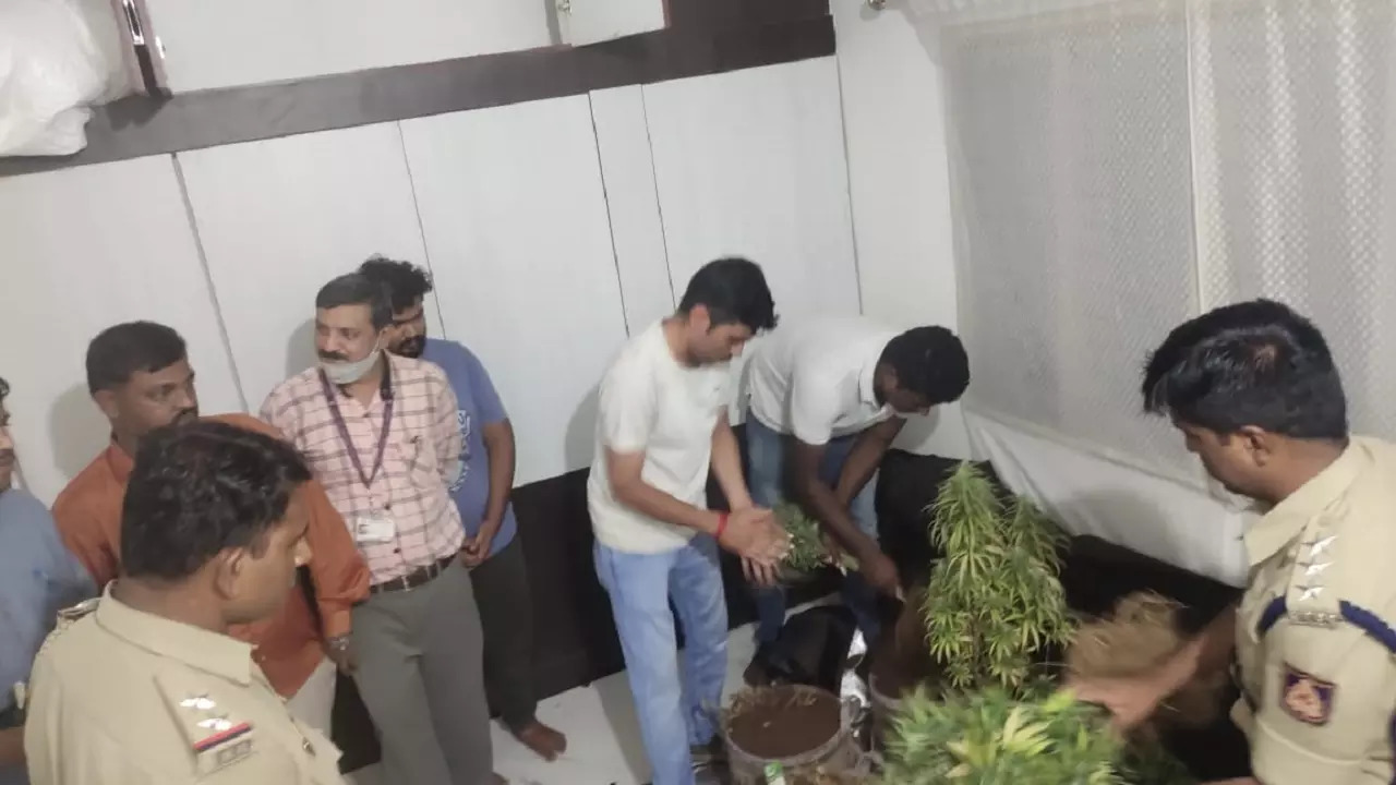 Five MBBS Students Grew Charas, Ganja In Rented Apartment In Karnataka