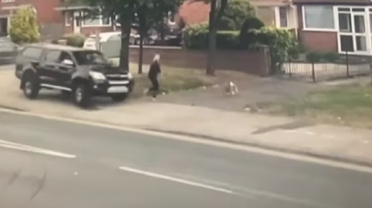 Dog saves woman