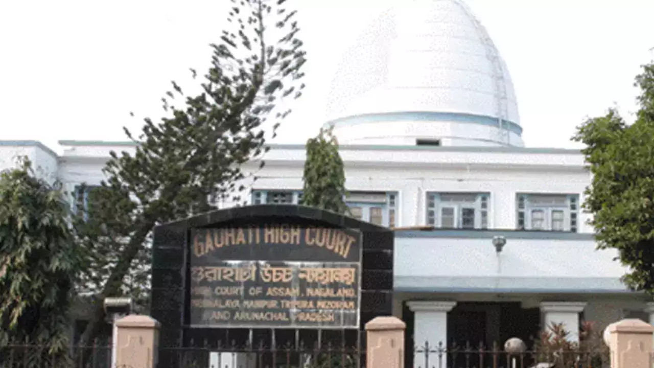 Gauhati HC Put Stay Order On July 11 WFI election