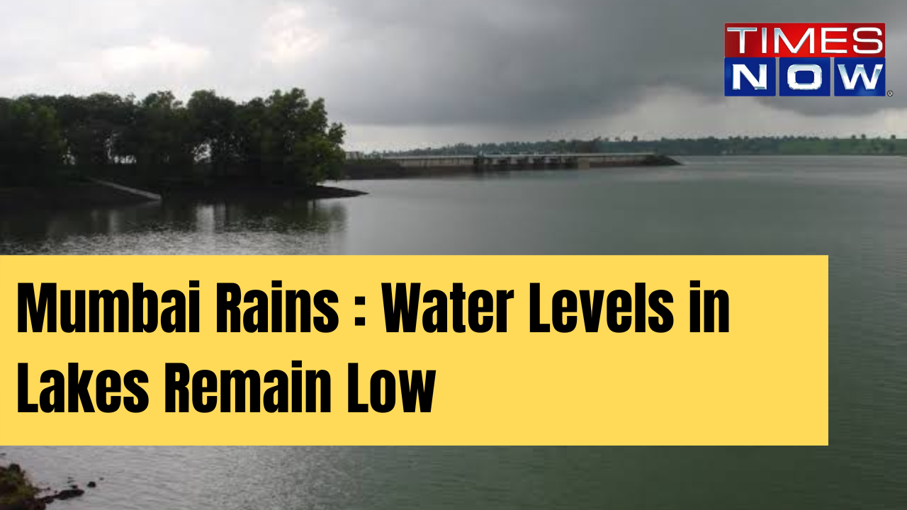 water-level-in-mumbai-lakes-remains-low-even-as-rain-arrives-mumbai