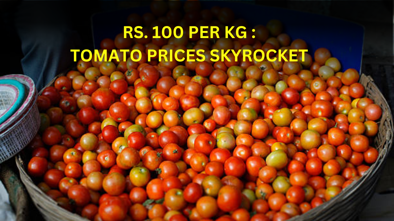 Tomato Prices Skyrocket in Mumbai, Delhi, Bengaluru; Delayed Rainfall