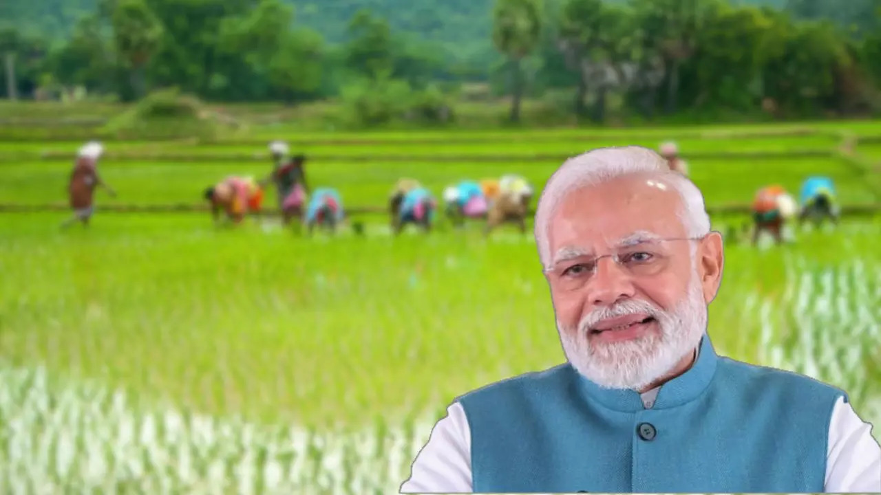 Bumper gift to farmers from Modi govt! Union cabinet hikes FRP for sugarcane, approves urea gold scheme; PM-Pranam also cleared