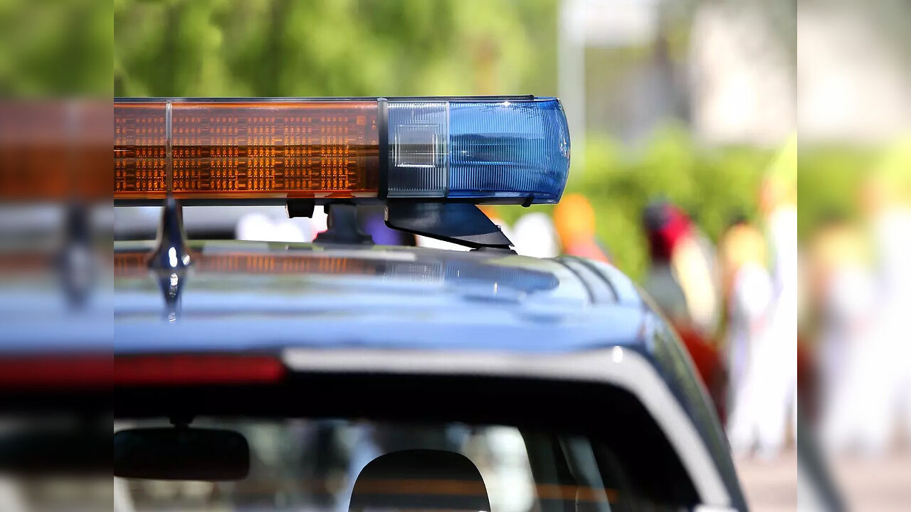 Indian-Origin Man Trafficks Over 800 Indian Into US Using Uber, Gets 3-Year In Jail - Vimarsana News