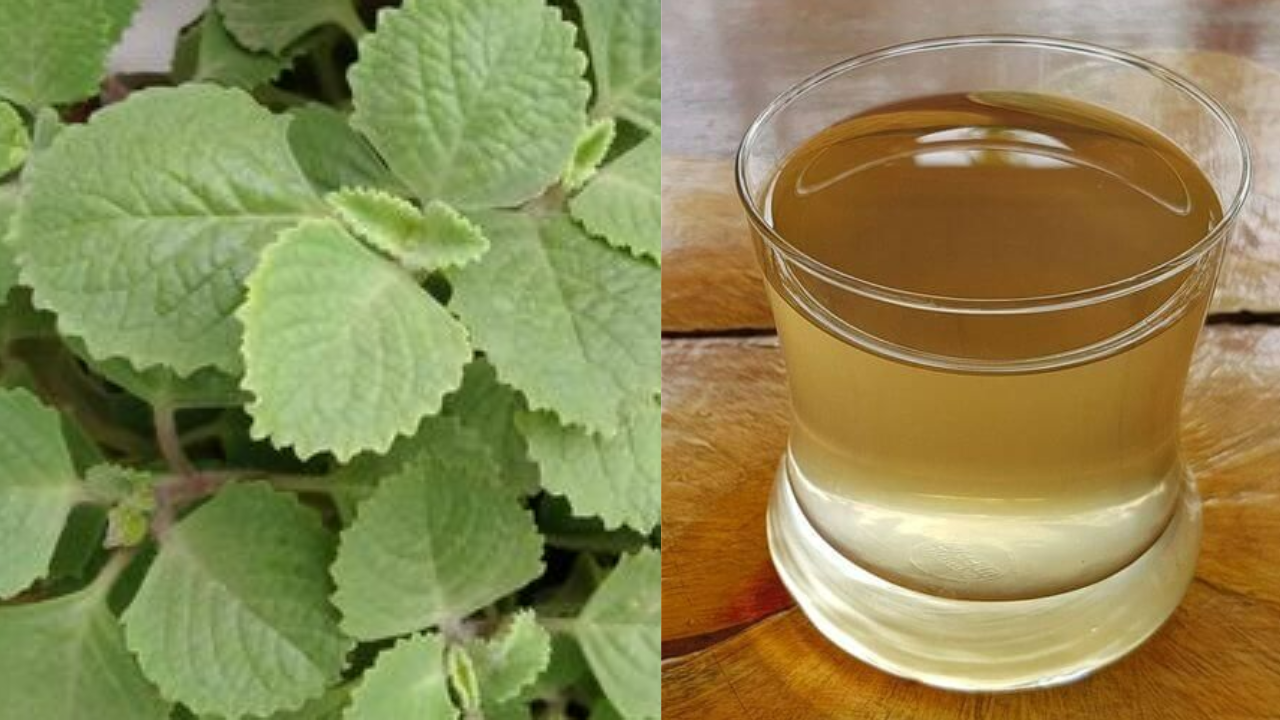 Suffering From Gas And Bloating? This Ayurvedic Drink Made With Ajwain