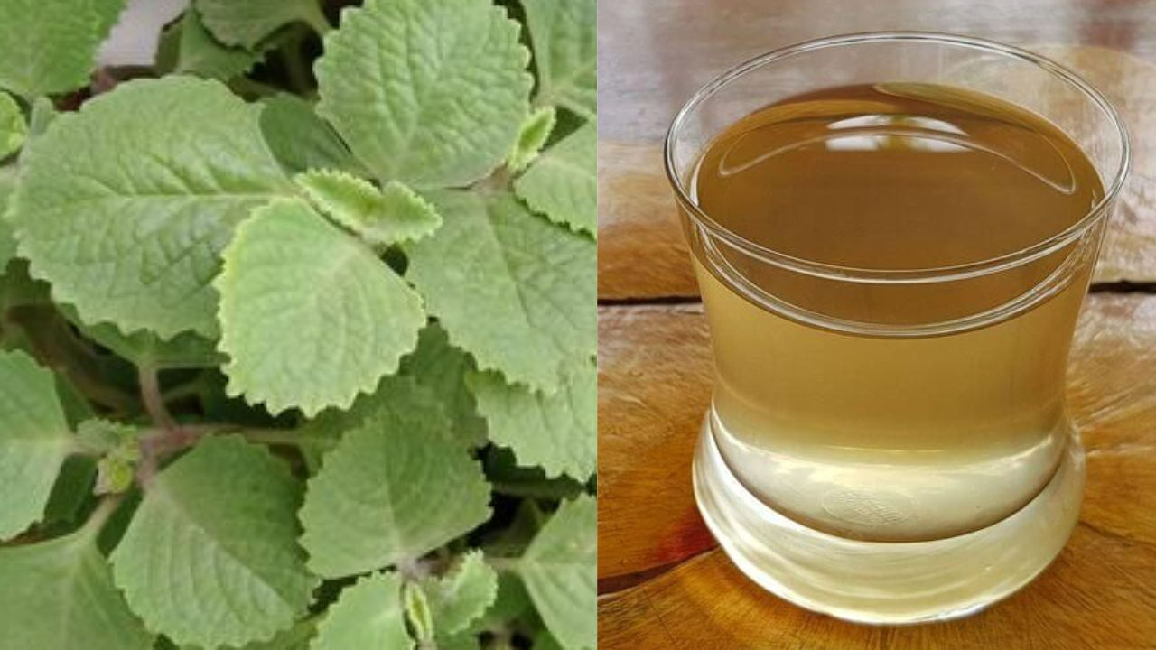 Ayurvedic Ajwain Water For Gas And Bloating. Pic Credit: Pinterest