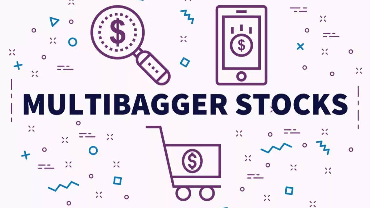 Multibagger Stock