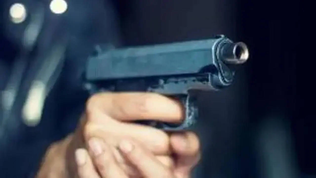 TMC Worker Shot Dead In West Bengal (Rep Image)