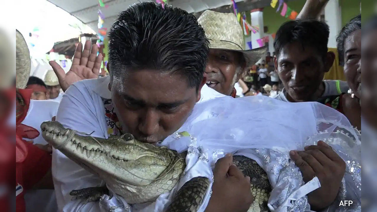 Mexican Mayor Marries A Crocodile