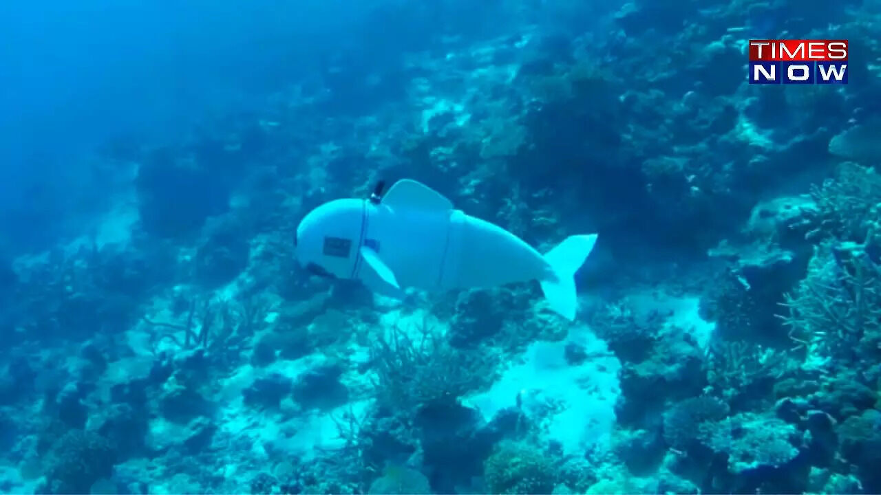 Meet Belle: The AI Robot Fish Saving Our Oceans! - Vimarsana News