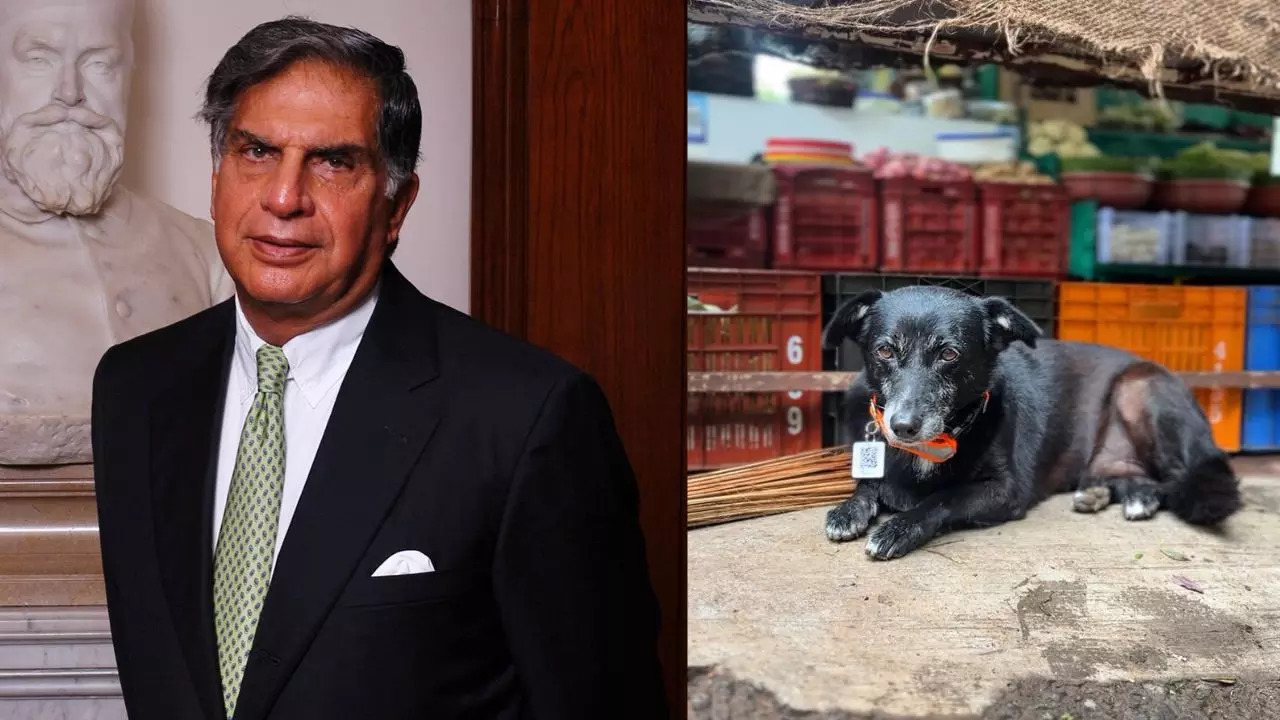 Ratan Tata's Heartwarming Tweet Captures Hearts (Image credit: Twitter/RNTata2000)