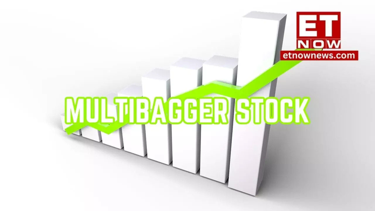 Multibagger stock