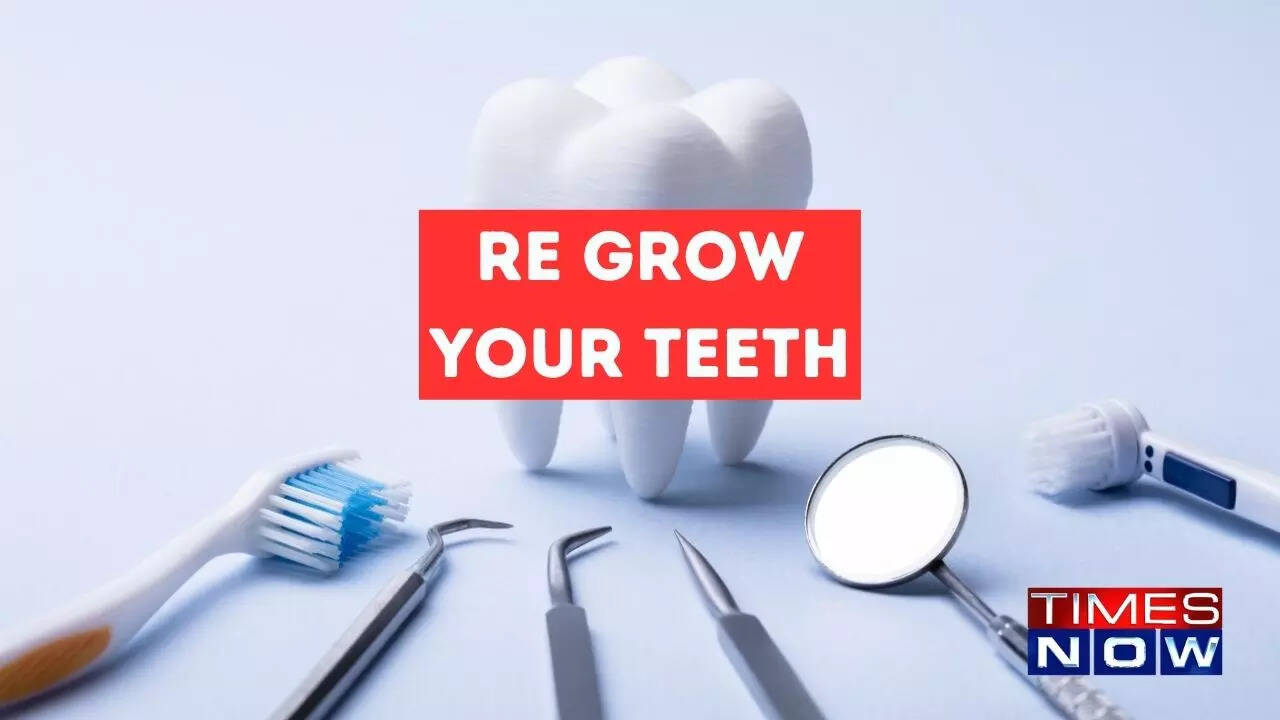 Tooth Problems?: You Will Soon Be Able to Regrow Your Teeth, Japanese Scientists Run Clinical Trials - Vimarsana News