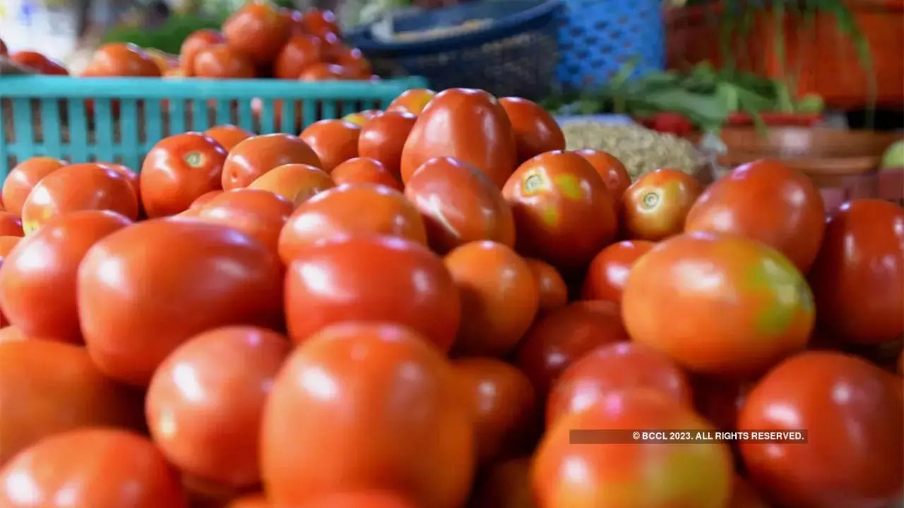 Farmer reports theft of Rs 2.5 lakh worth of tomatoes in Karnataka