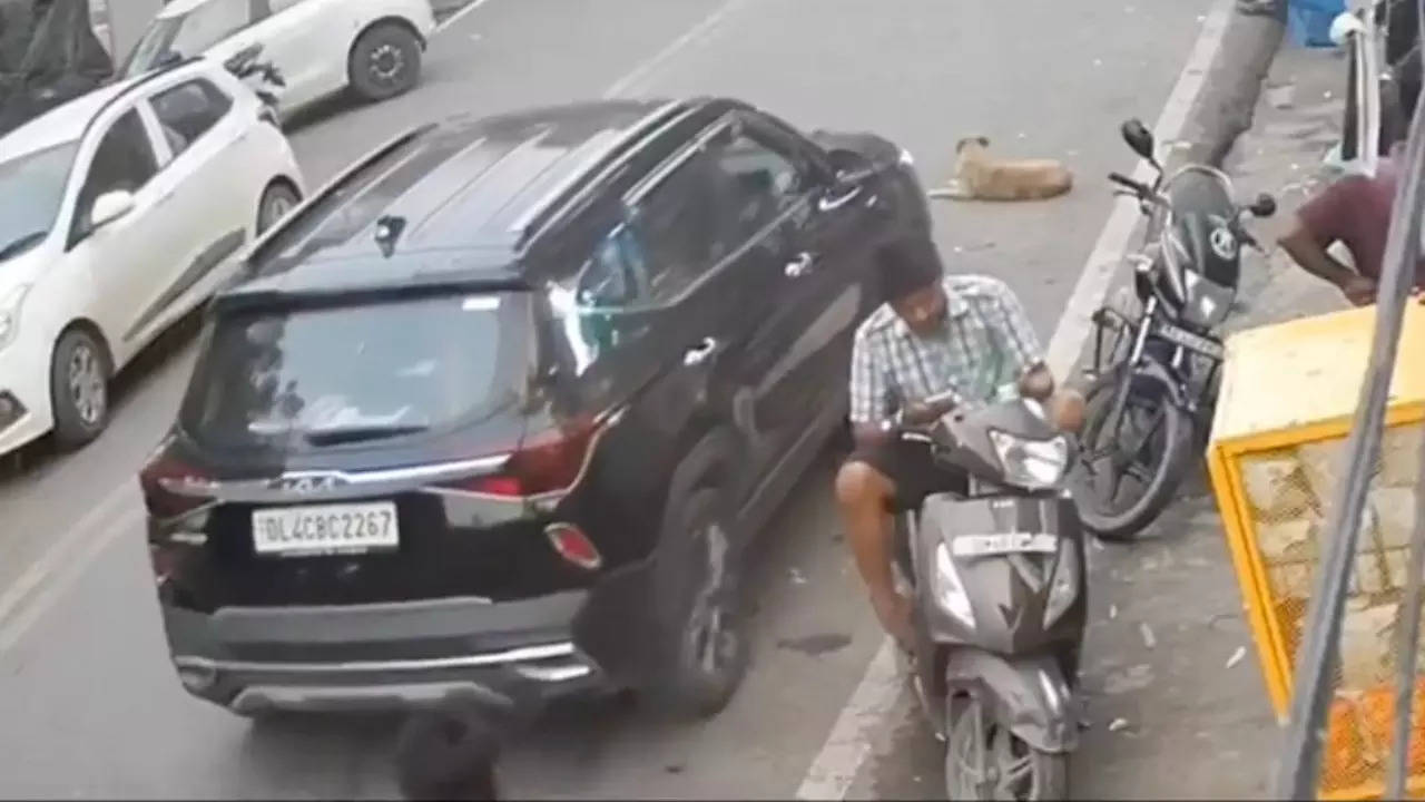 Delhi driver runs over dog