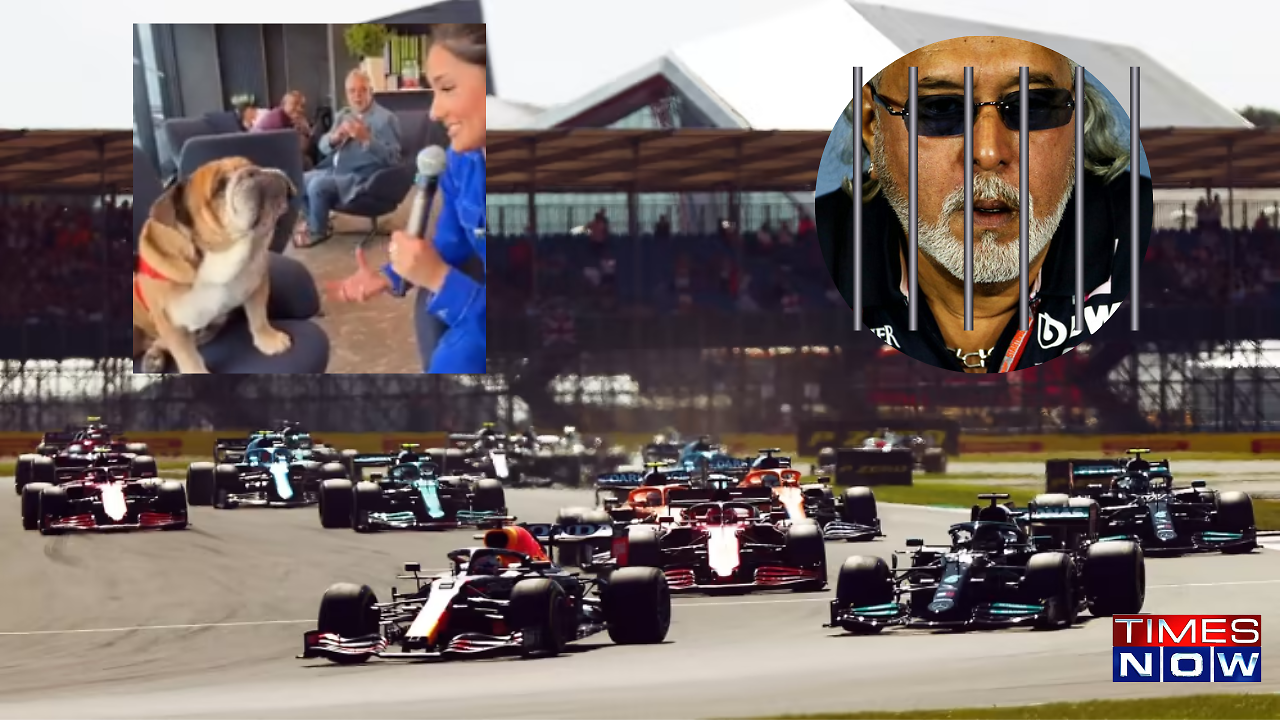 Vijay Mallya | 'Wanted In India' Kingfisher Boss Vijay Mallya Casually Spotted Again In Silverstone At 2023 British GP - Vimarsana News