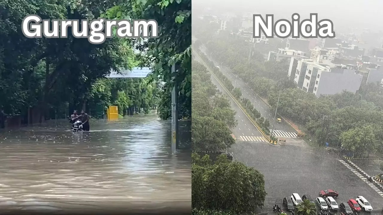 It's Noida vs Gurugram amid heavy rains (Images via Twitter)