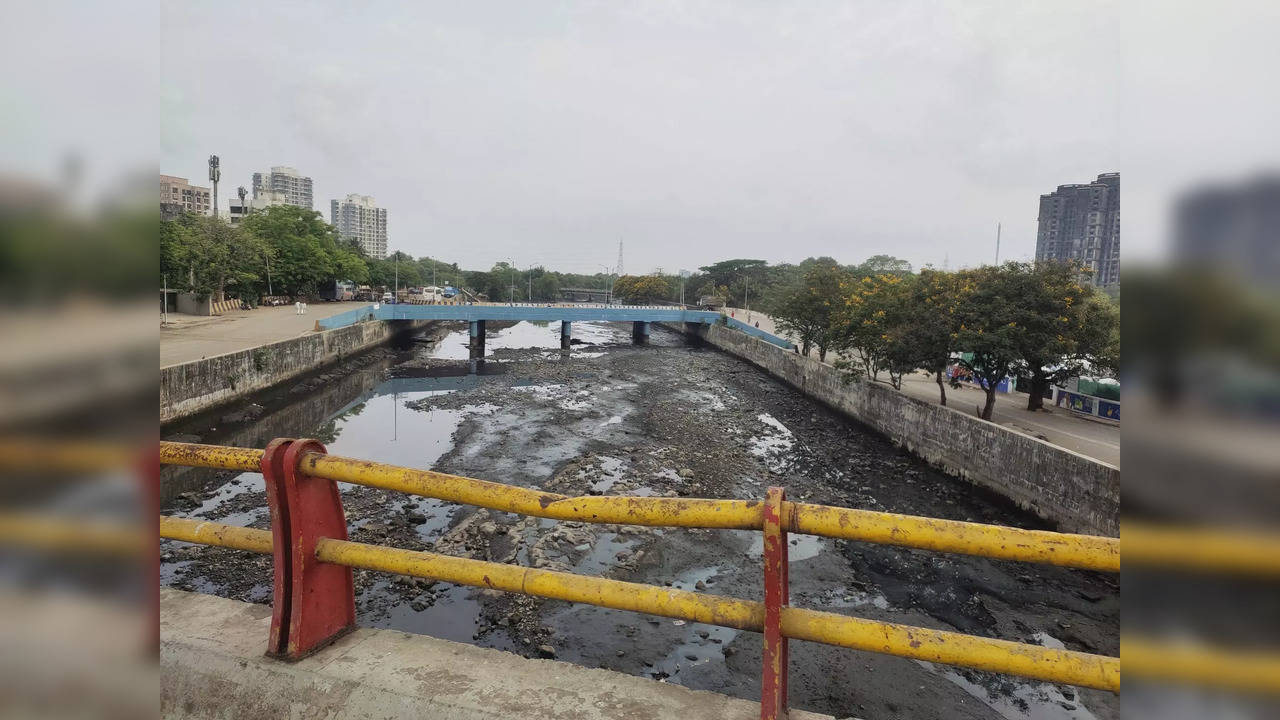 Dahisar River