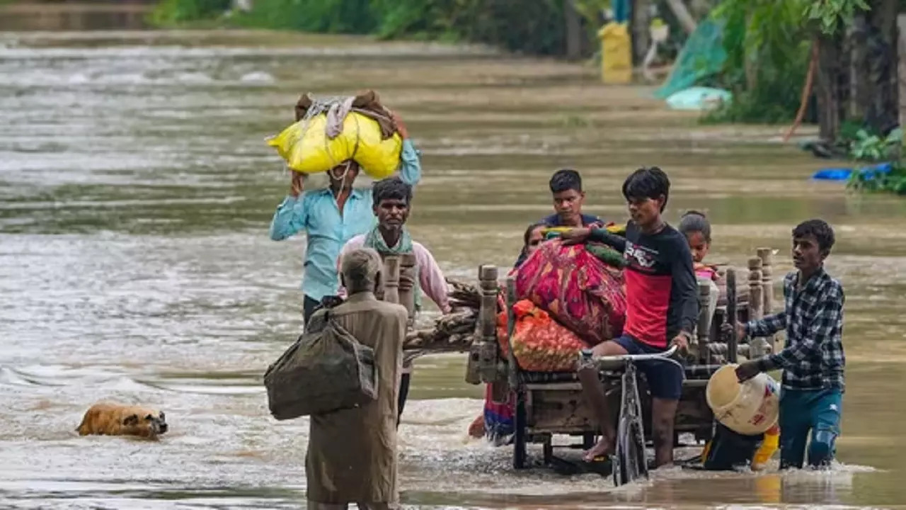 Water Water Level of Yamuna Rises Further​