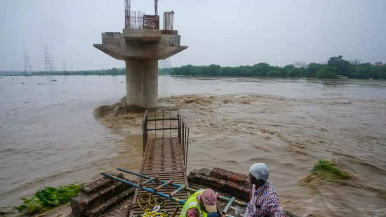 Yamuna water level