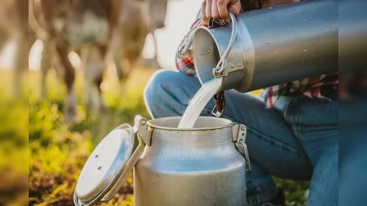 Know the Scientific and Religious Reasons Why Consumption of Kadhi, Milk and Curd is Prohibited in Sawan - Vimarsana News