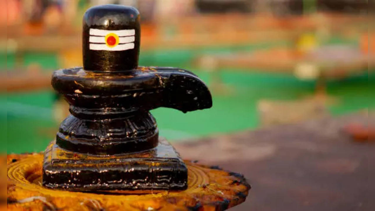 Things not to be offered to Shivling in Sawan