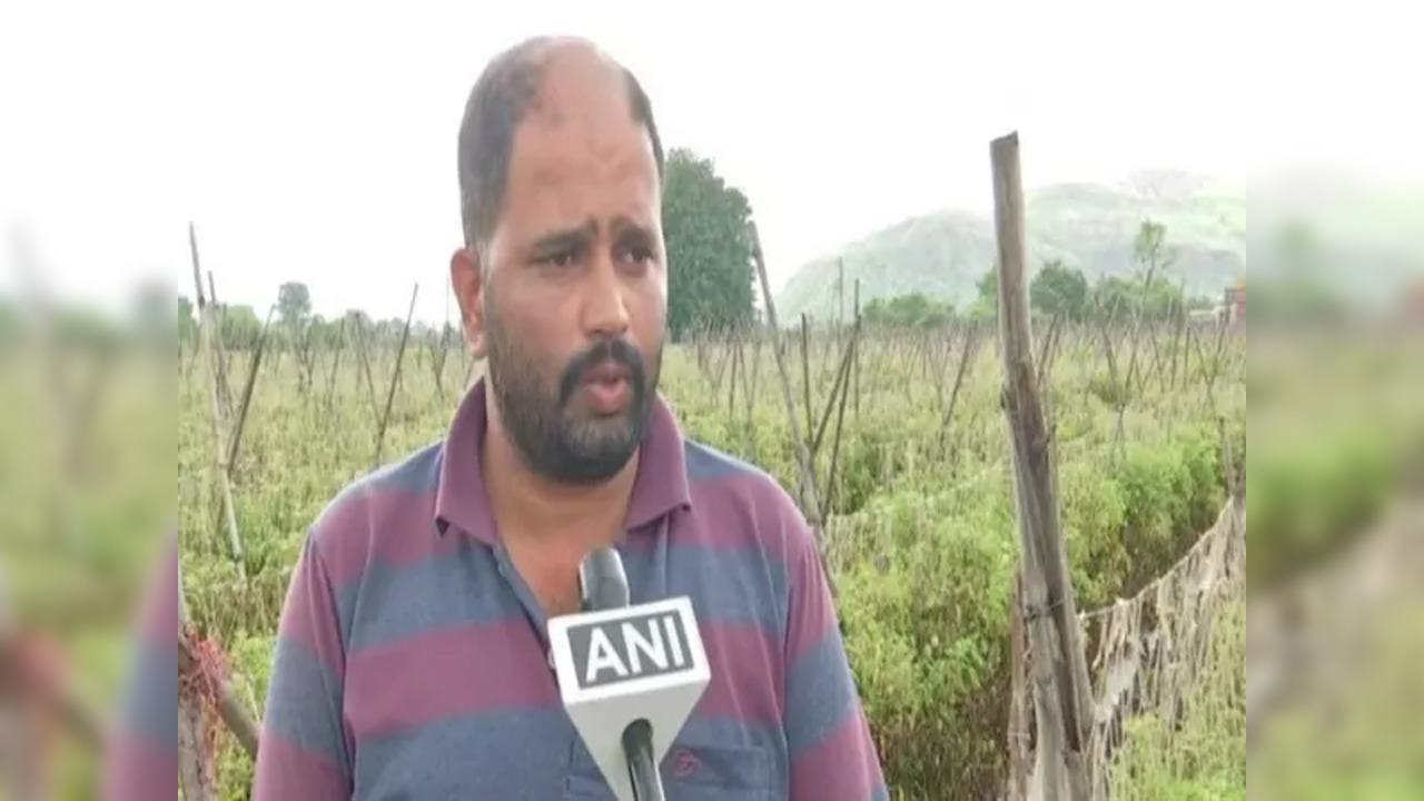 Pune Farmer Makes Rs 2.8 Crore By Selling Tomatoes