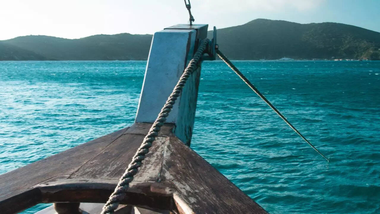 Sailor Survives With Dog At Sea Eating Raw Fish And Drinking Rainwater