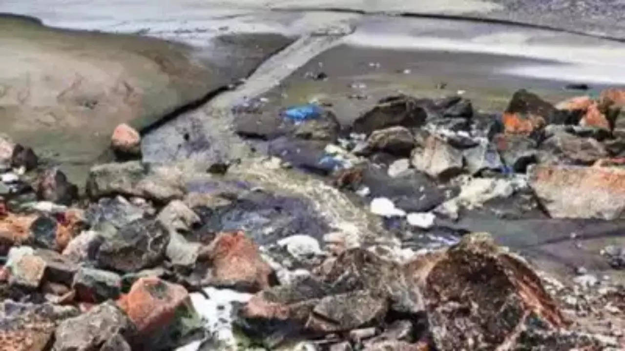 Chennai's Tiruvottiyur Beach