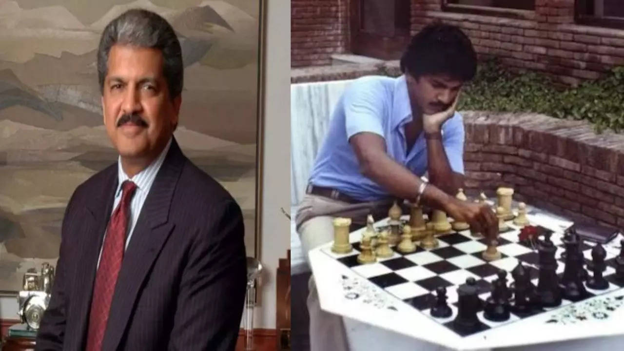 Anand Mahindra throwback pic (Images via Twitter)