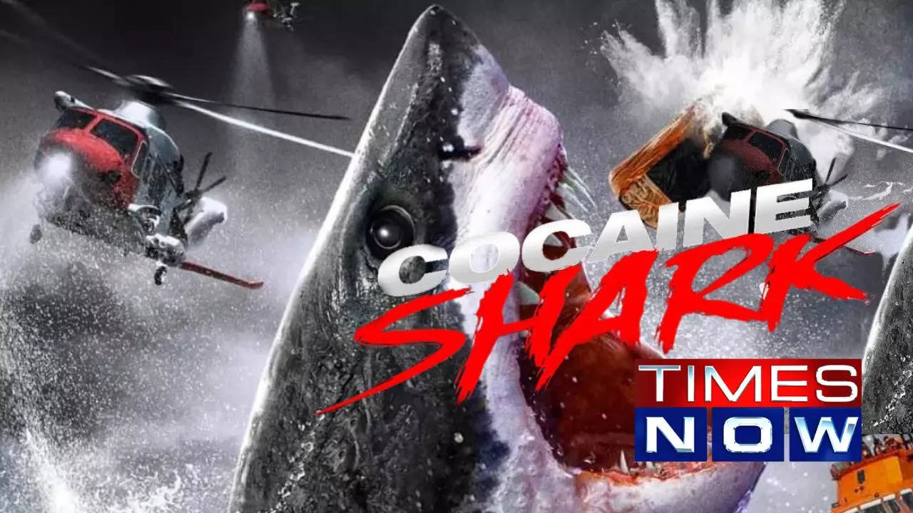 Cocaine Sharks: Drug Smugglers Turn Sharks into Addicts, Unleashing ...