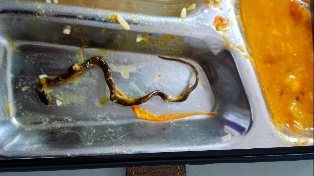 Hyderabad canteen dead snake in meal