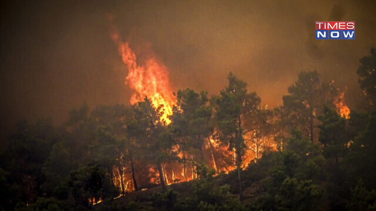 Rhodes Wildfires