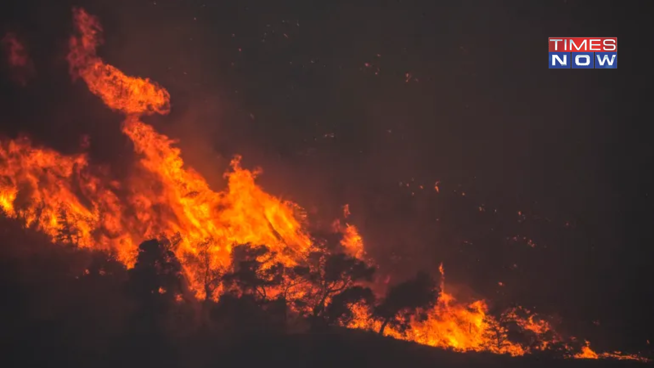 Greece Wildfires: Two Pilots Dead After Firefighter Plane Crashes, 3rd Heatwave Strikes Greece