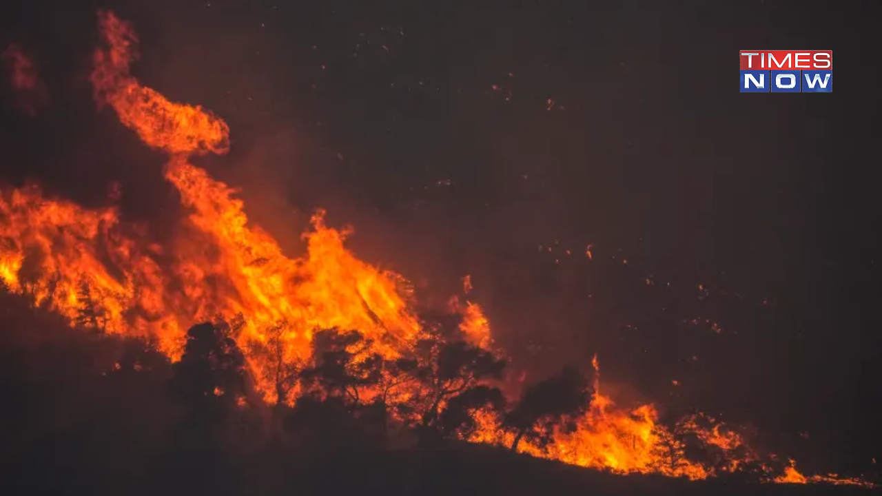 Greece Wildfires: Two Pilots Dead After Firefighter Plane Crashes, 3rd Heatwave Strikes Greece - Vimarsana News