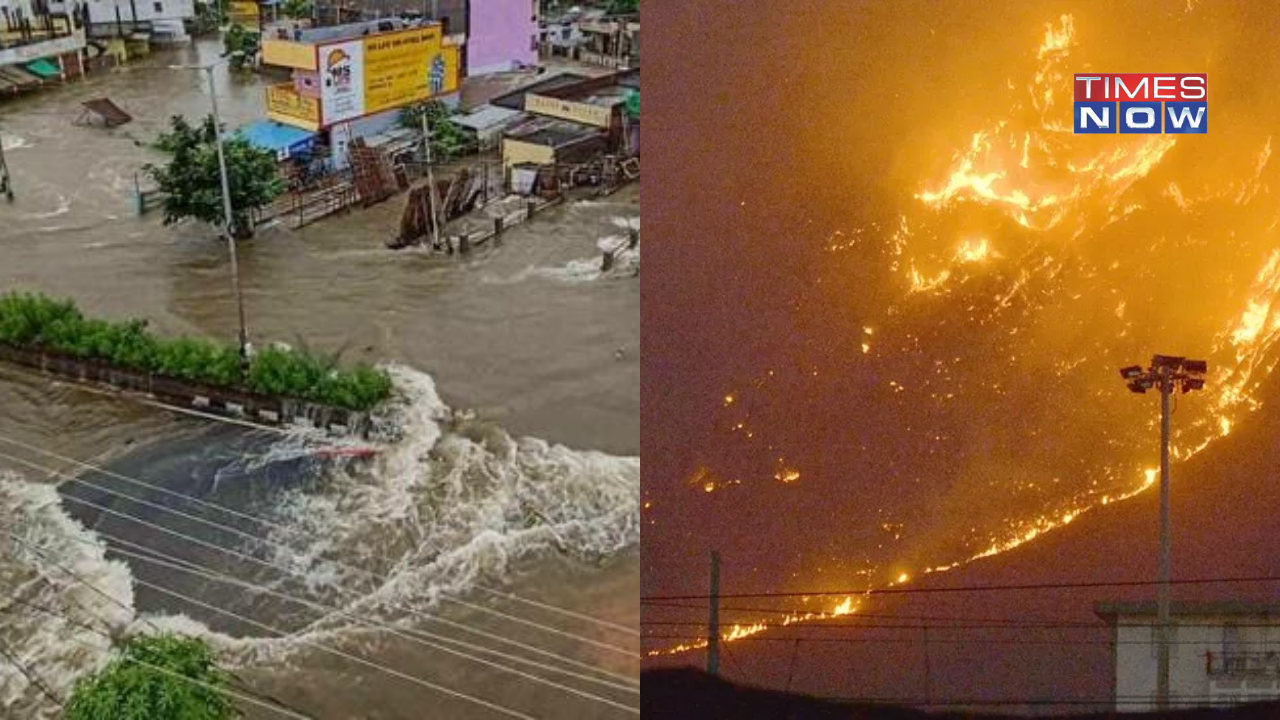 As India Floods and Europe Burns, Experts Link Extreme Conditions to Climate Change | Explained