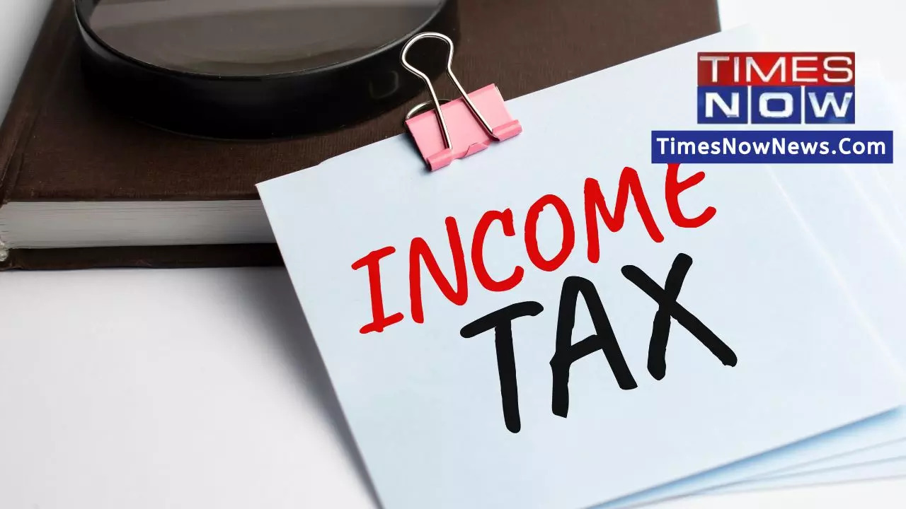 Free ITR Filing Guide 2023​: Through this, the taxpayers would be able to avoid mistakes while filing IT Returns (Photo: Shutterstock/Times Now Digital)