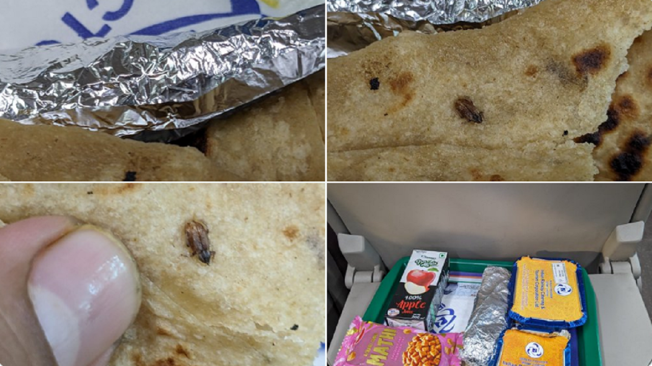 Cockroach Found in Meal Served on Vande Bharat Express Train