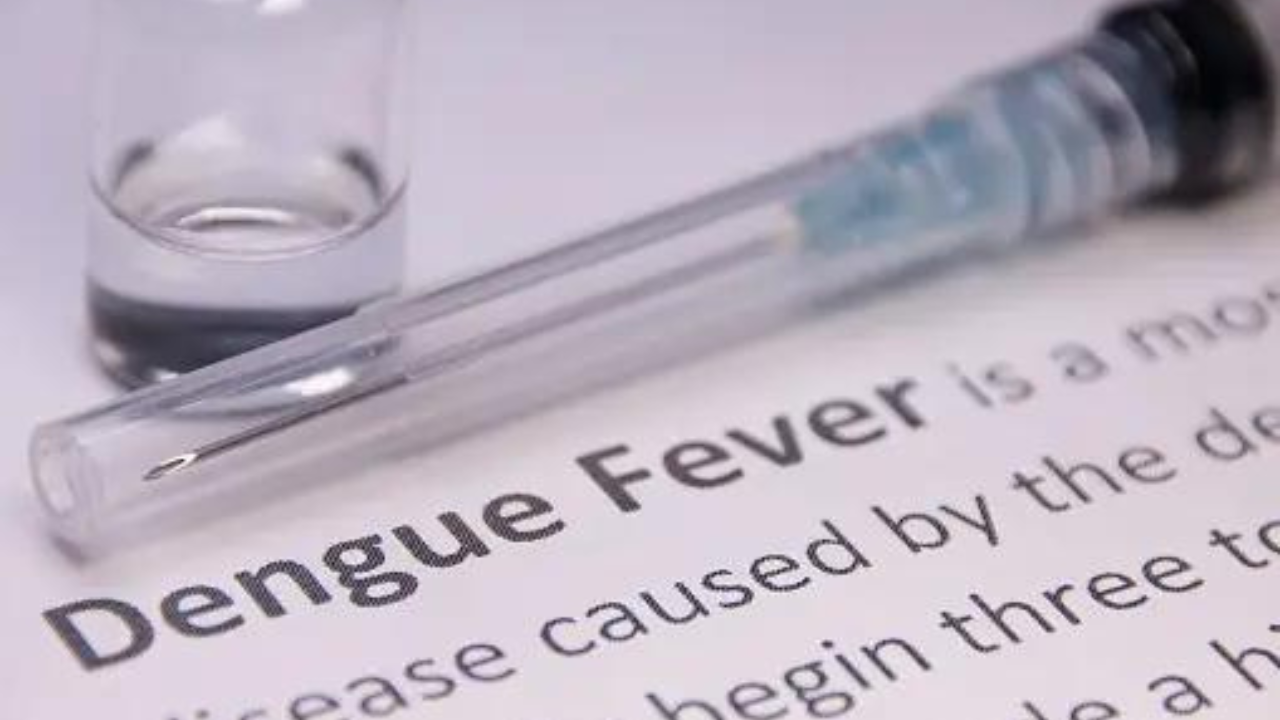 Dengue on rise