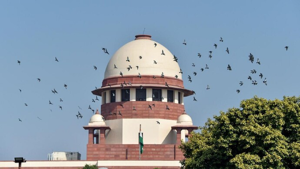 Supreme Court grants bail to Bhima Koregaon case accused Vernon Gonsalves and Arun Ferreira - Details