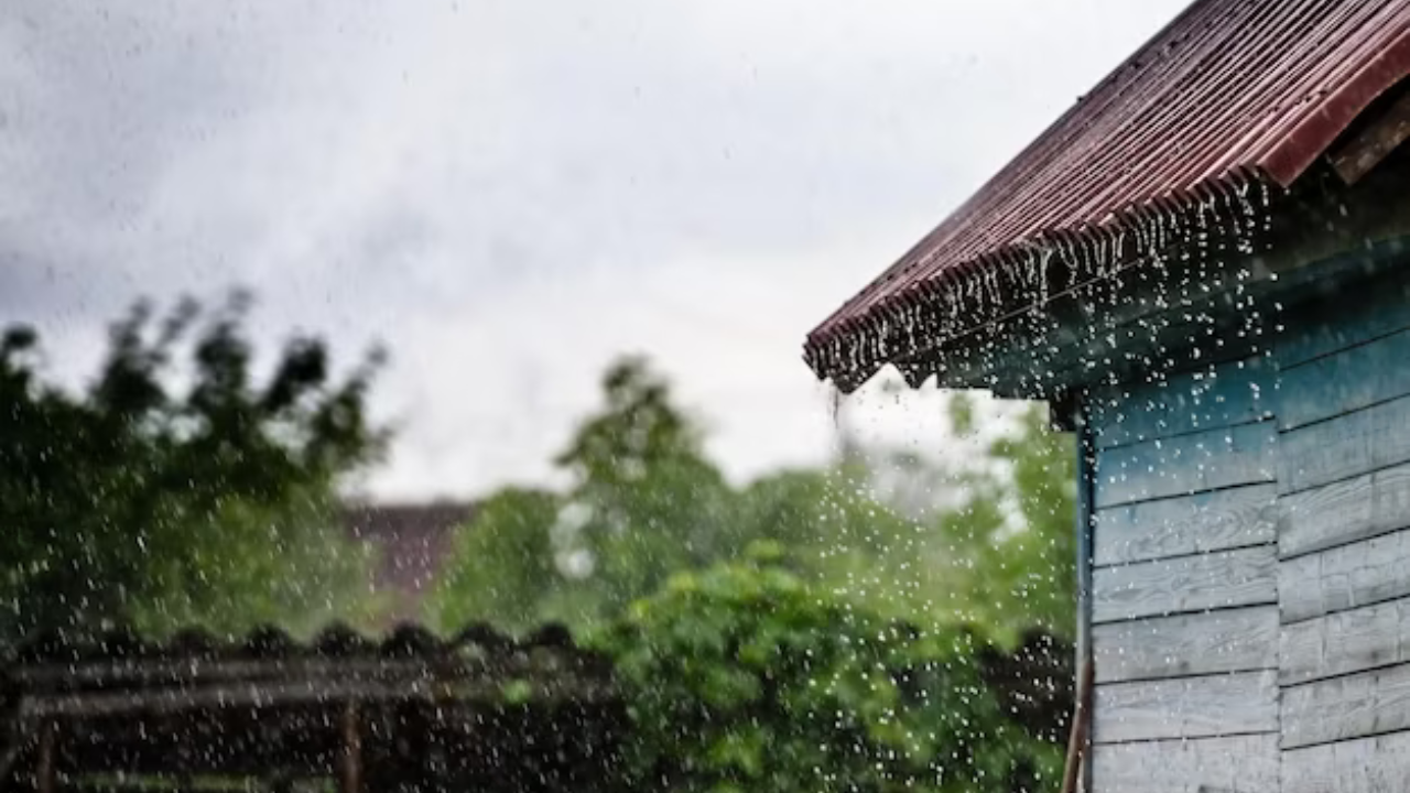 Home care tips for monsoon