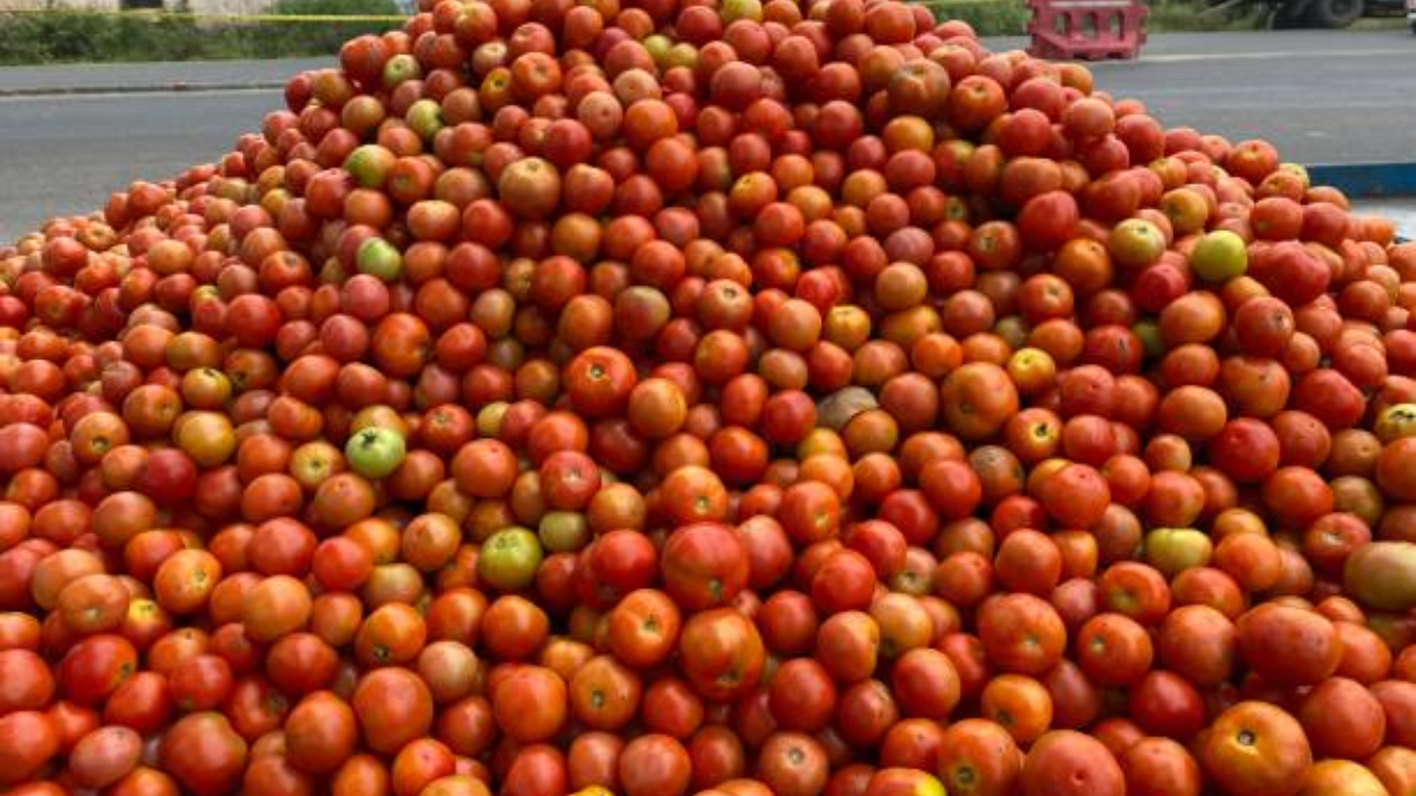 Truck Carrying Worth Rs 20 Lakh Tomatoes  Goes Missing