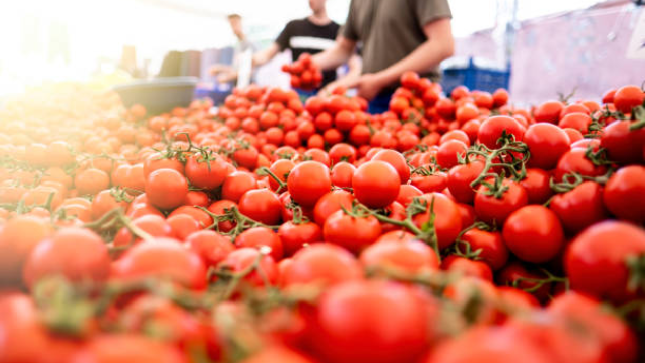 Tomato Prices Hit An All-time High Record of Rs. 200/kg In Chennai