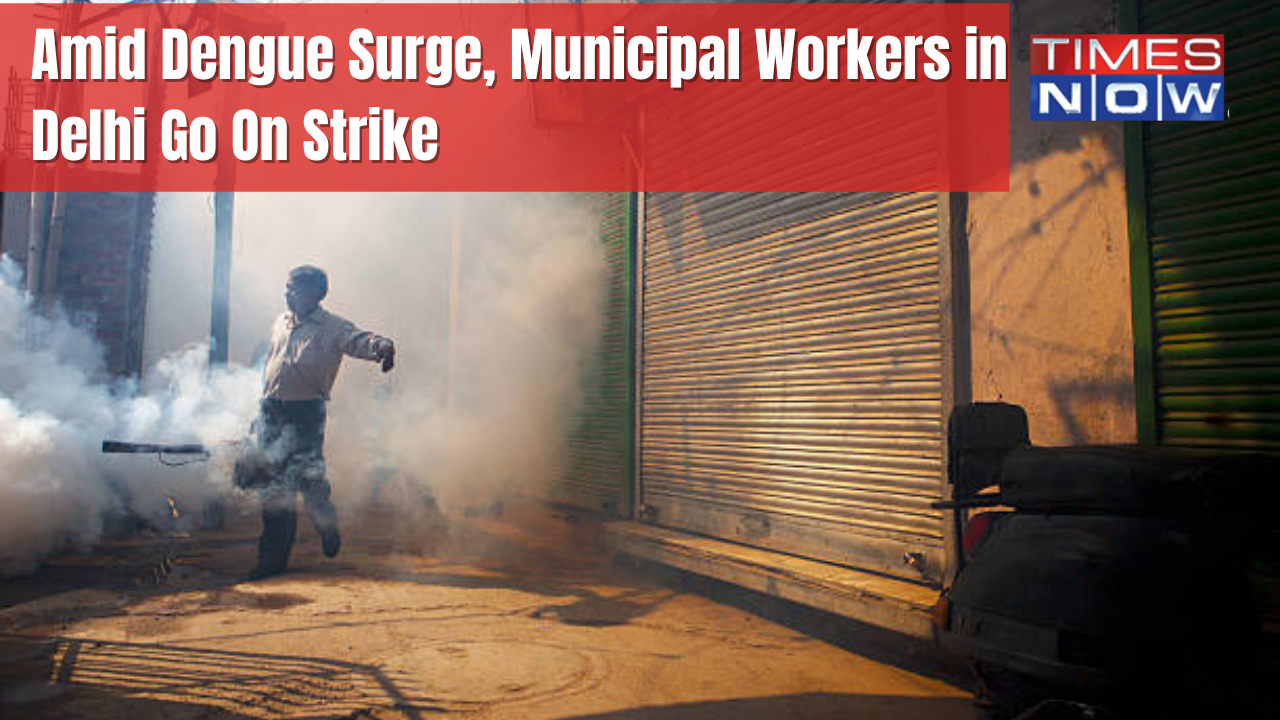 Dengue control workers in Delhi go on strike