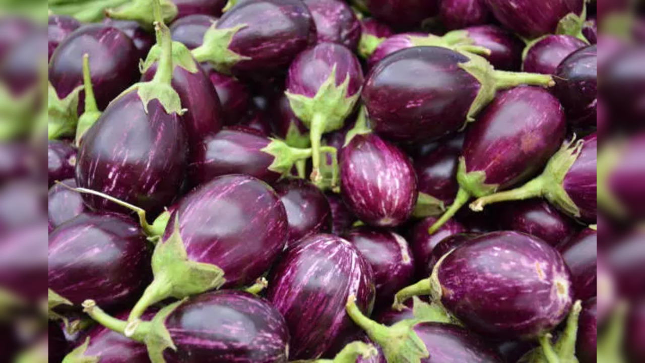 brinjals