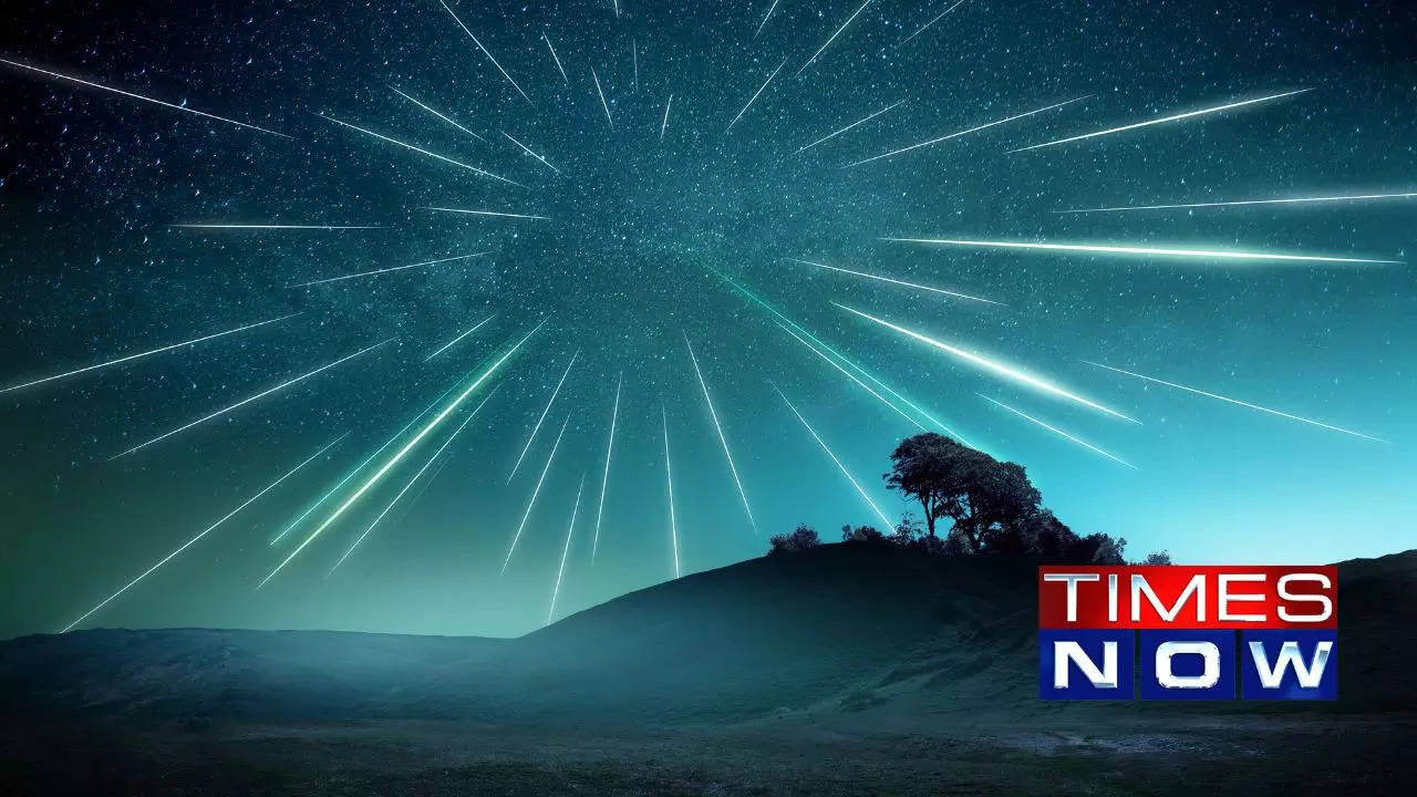 2023 Perseid Meteor Shower: The Sky is Ready to Put on a Show!