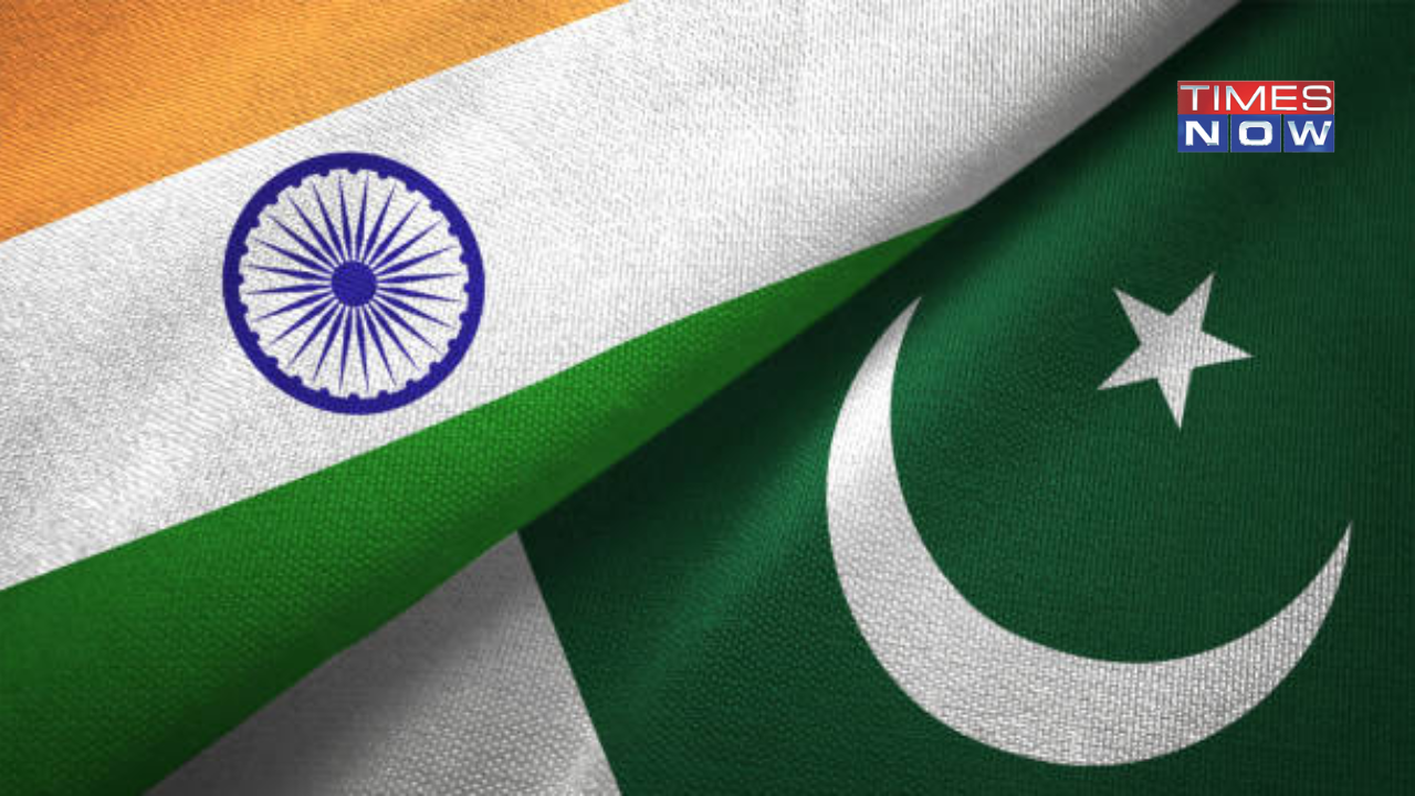 How A Delay In Pakistan's Elections Due To Digital Census Could Be A Concern For India | Explained