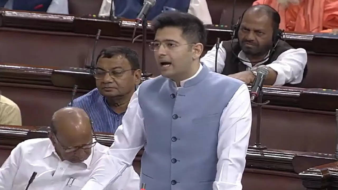 Raghav Chadha in Rajya Sabha