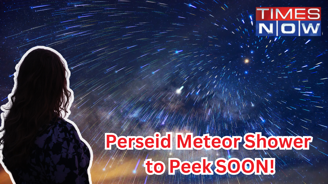 Perseid Meteor Shower 2023