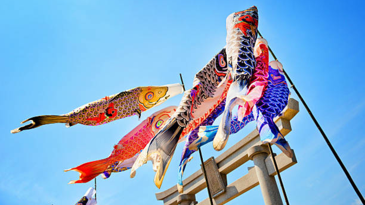 Tamil Nadu International Kite Festival 2023 To Have 'Save Marine Life, Save Mother Earth' Theme